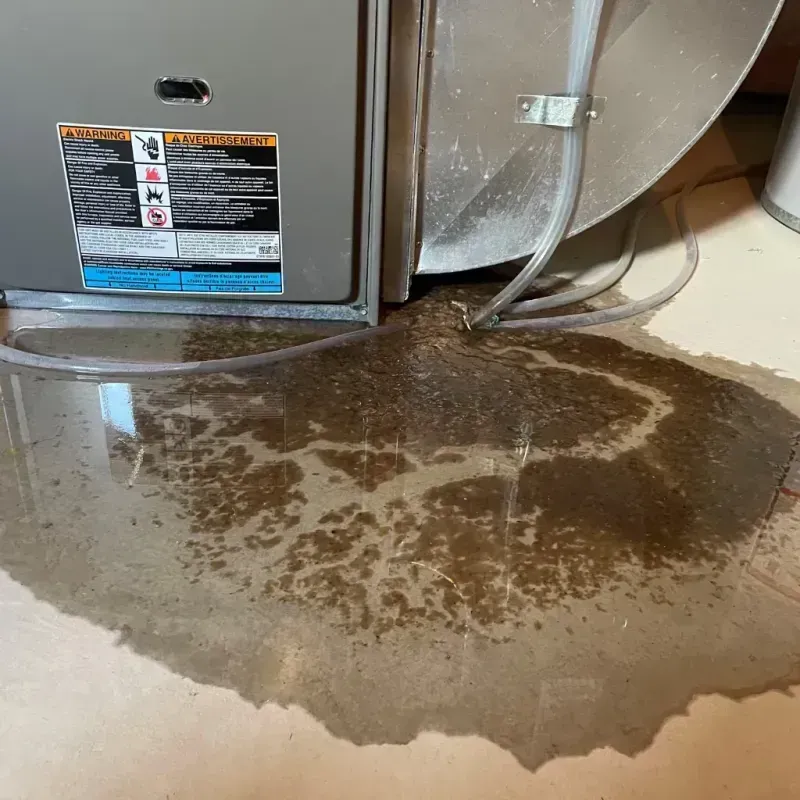 Appliance Leak Cleanup in Holcomb, NY